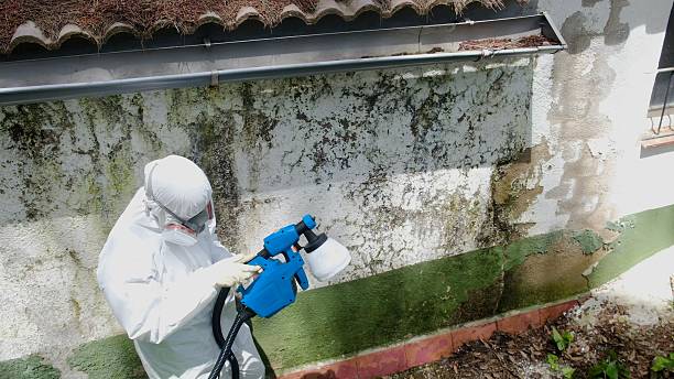 Trusted Commercial Mold Remediation service in North Andover, MA - Cheap Mold Removal